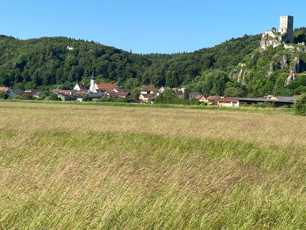 Ferienwohnung Im Wunderschoenen Altmuehltal Wellheim 外观 照片